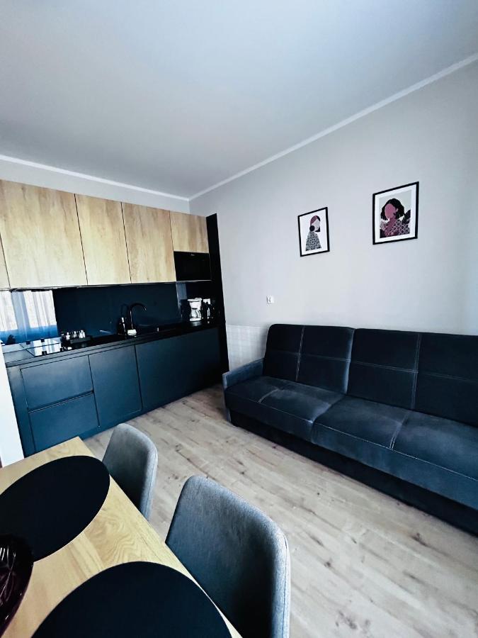 Apartament Walczaka 43 Miejsce Parkingowe غوجوف فييلكوبولسكي المظهر الخارجي الصورة